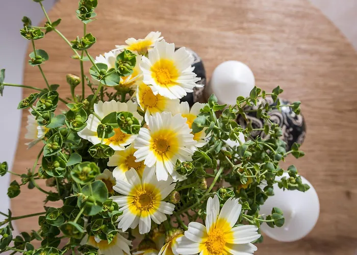 Perfect Purity
