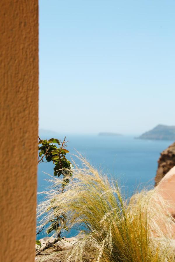 Vineyart Homes * Oia (Santorini)