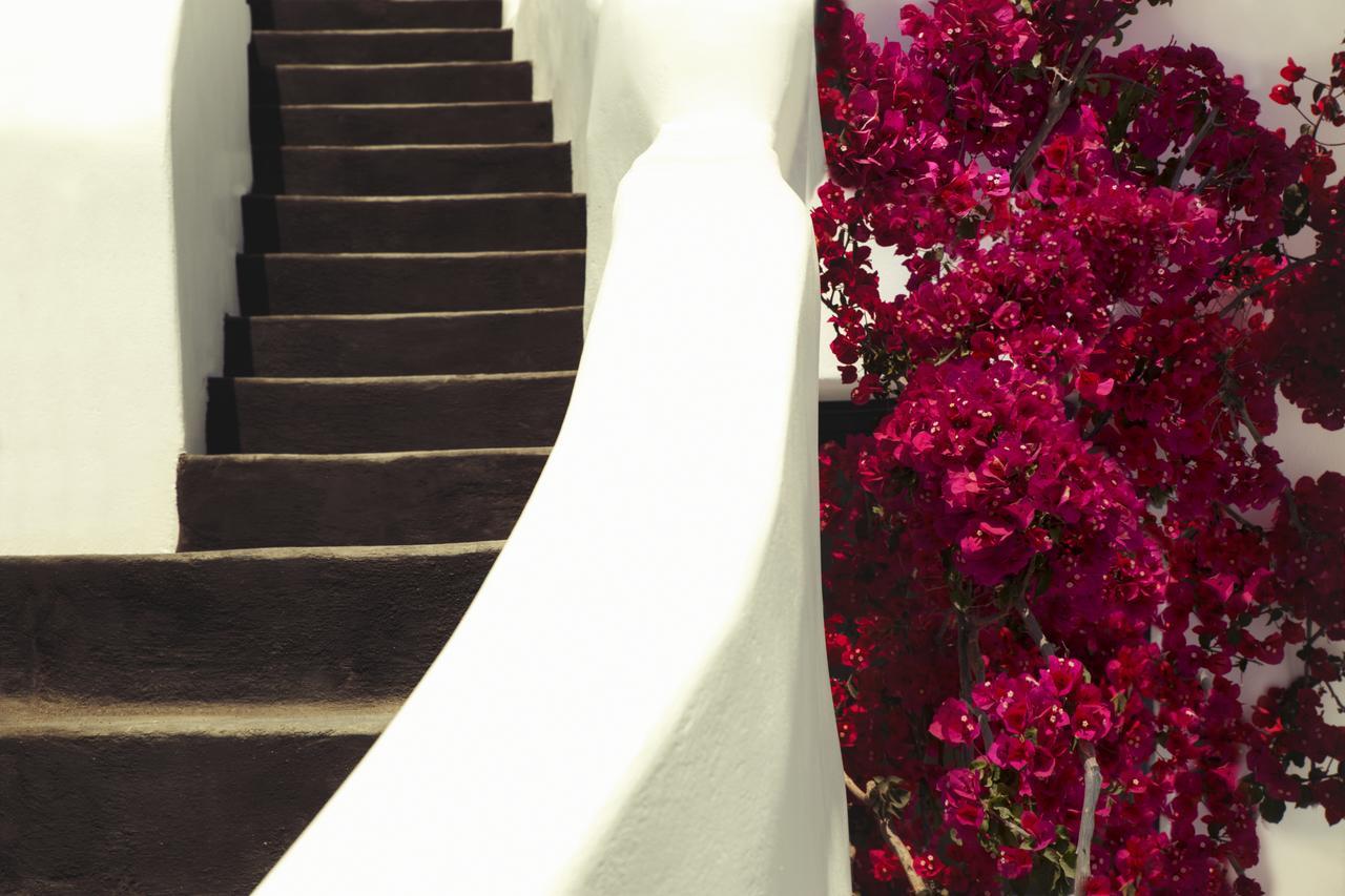 Chelidonia Luxury Hotel 4*