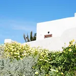 White Grape Suites