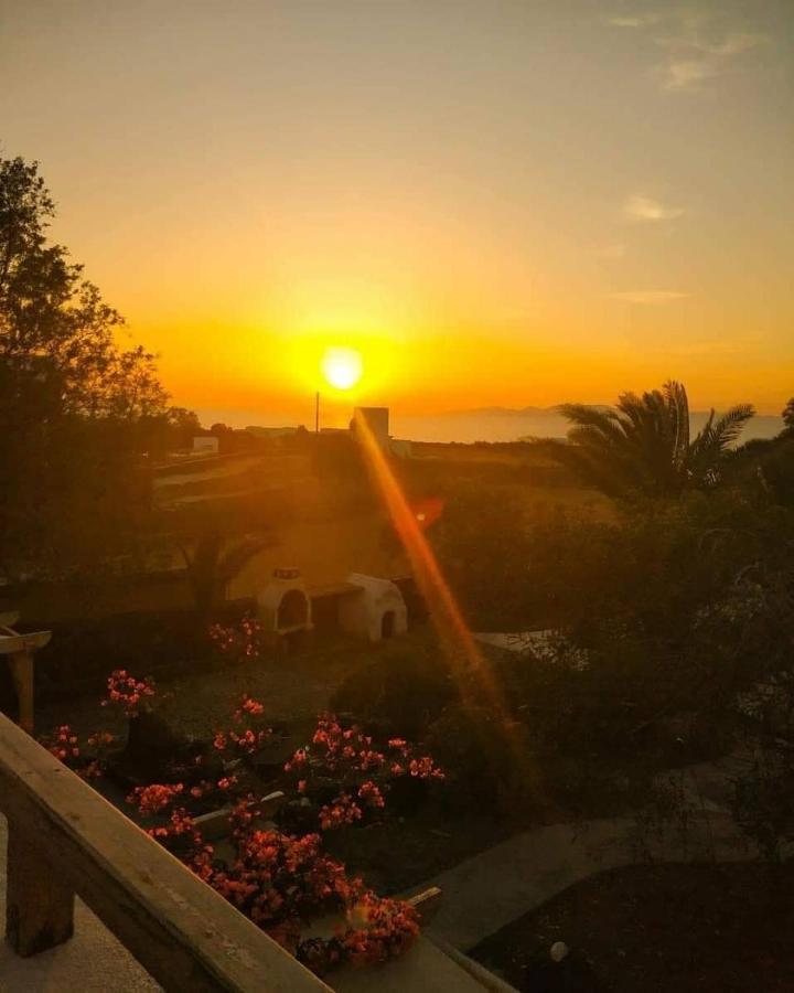 Ecoxenia Aparthotel 3*