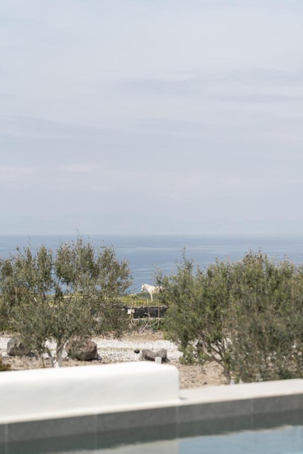 Apartment Saint John Oia-exclusive Private Heated Pool Oia (Santorini)