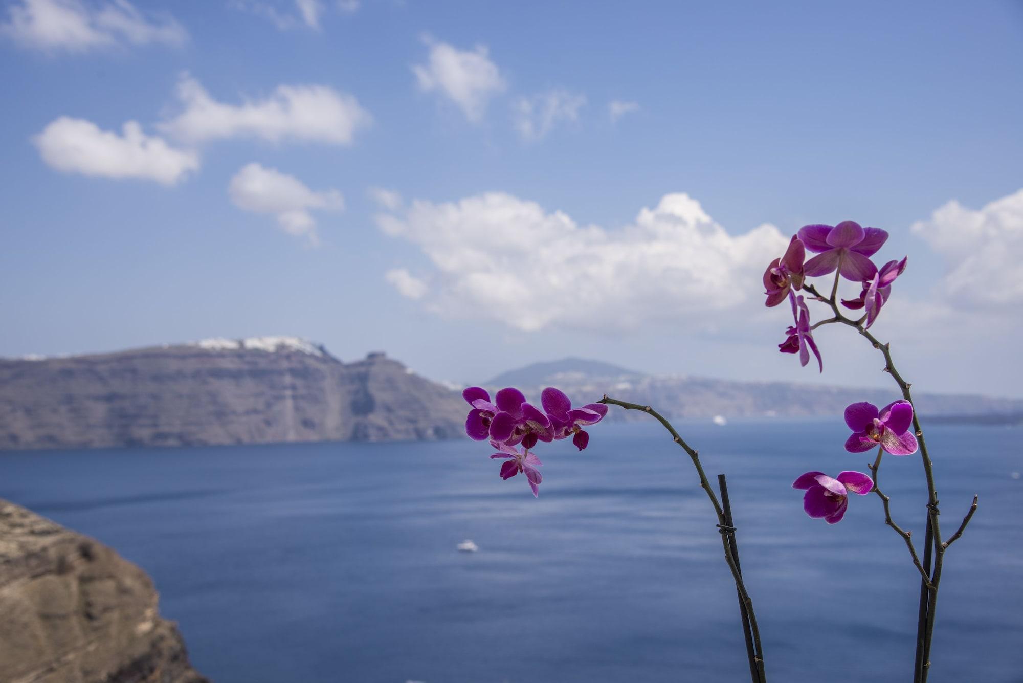 Ambition (adults Only) Hotel Oia (Santorini)