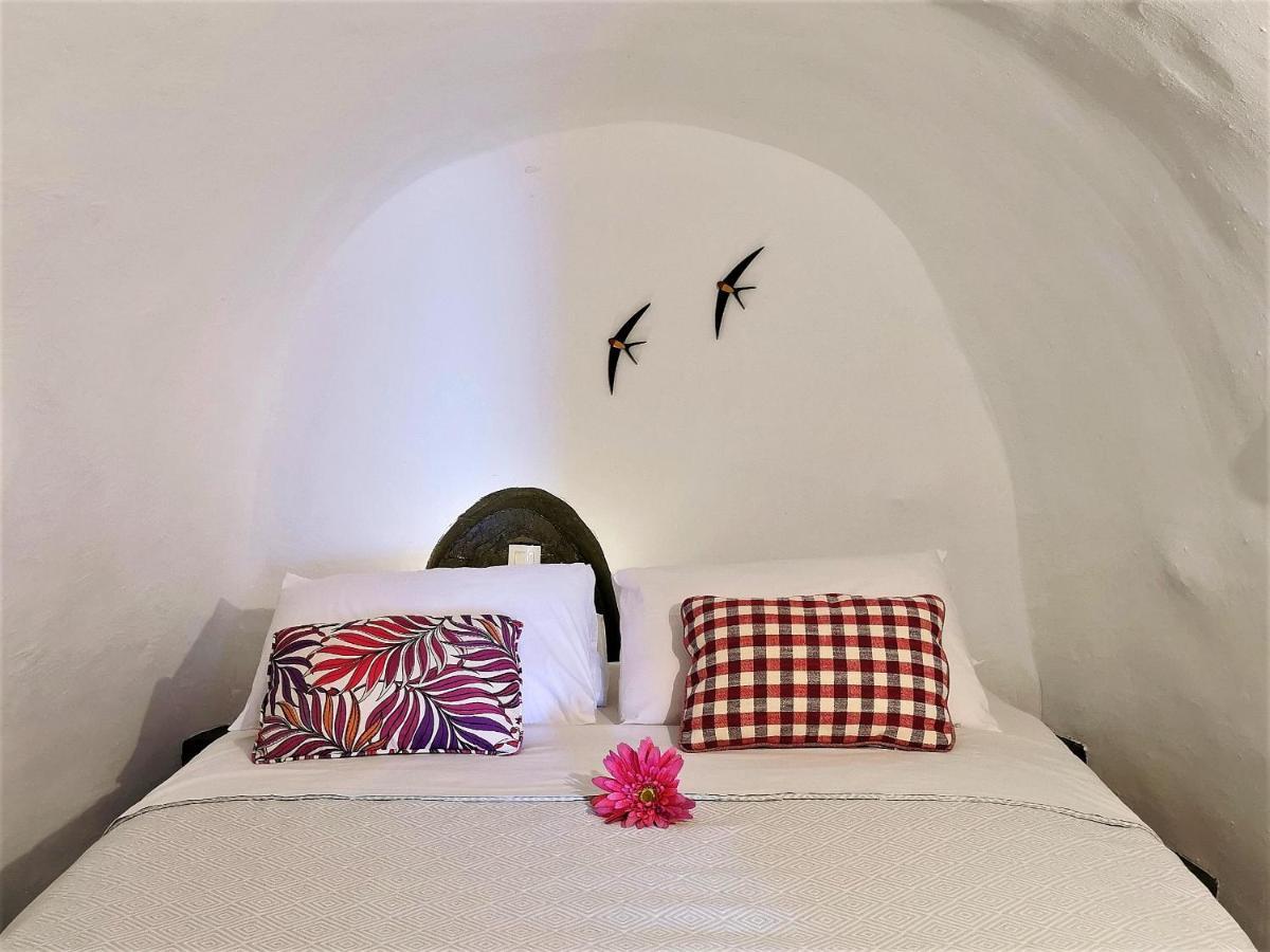 Aqua & Terra Traditional Cave Villa