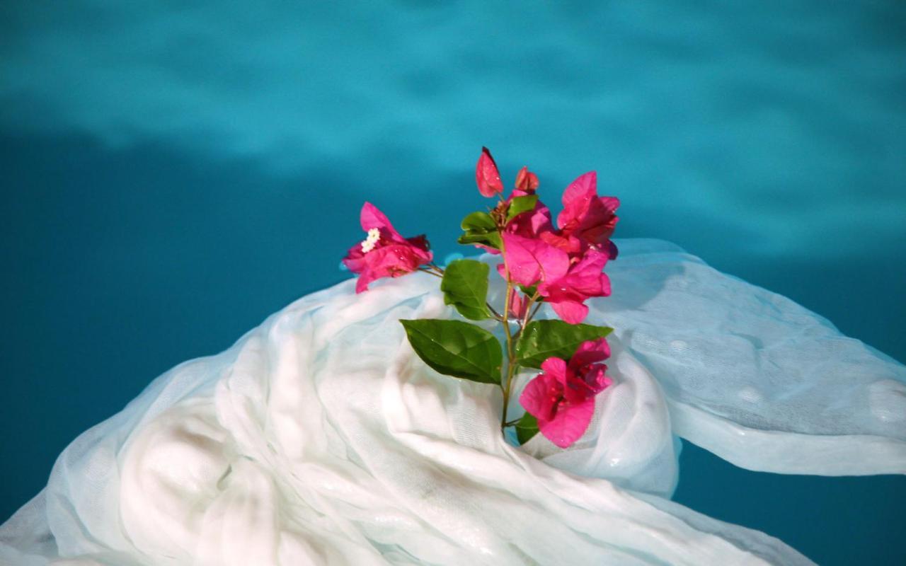 Holiday home Sea Paradise - Seaside & Private Jacuzzi Oia (Santorini)