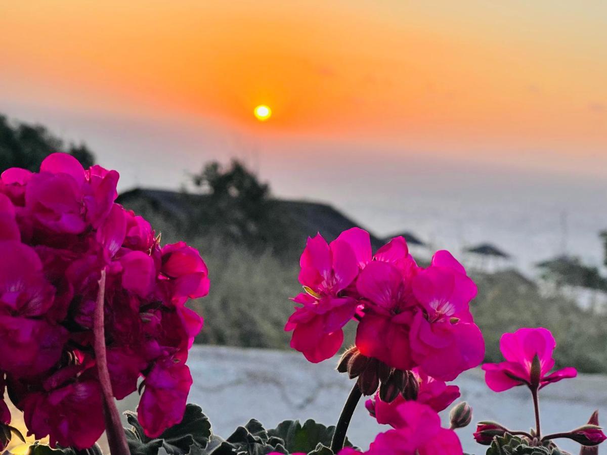 Villa Sunset House Pothitou Oia (Santorini)