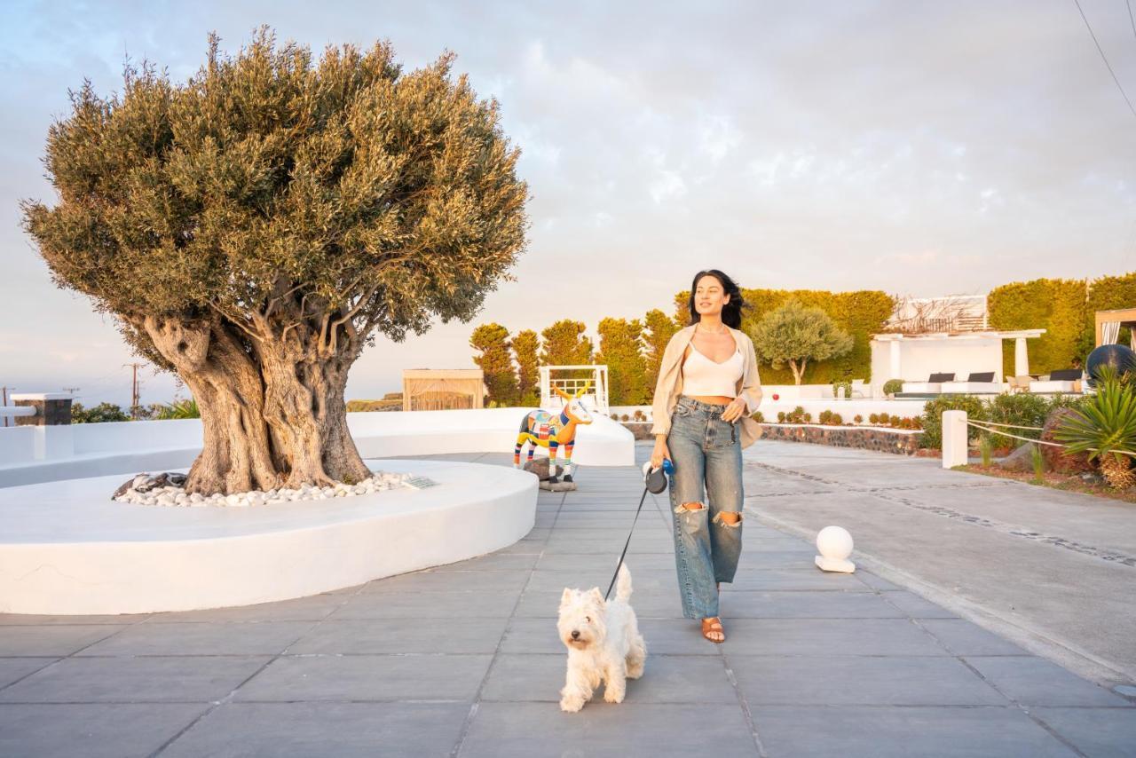 Sunset Villa Oia (Santorini)