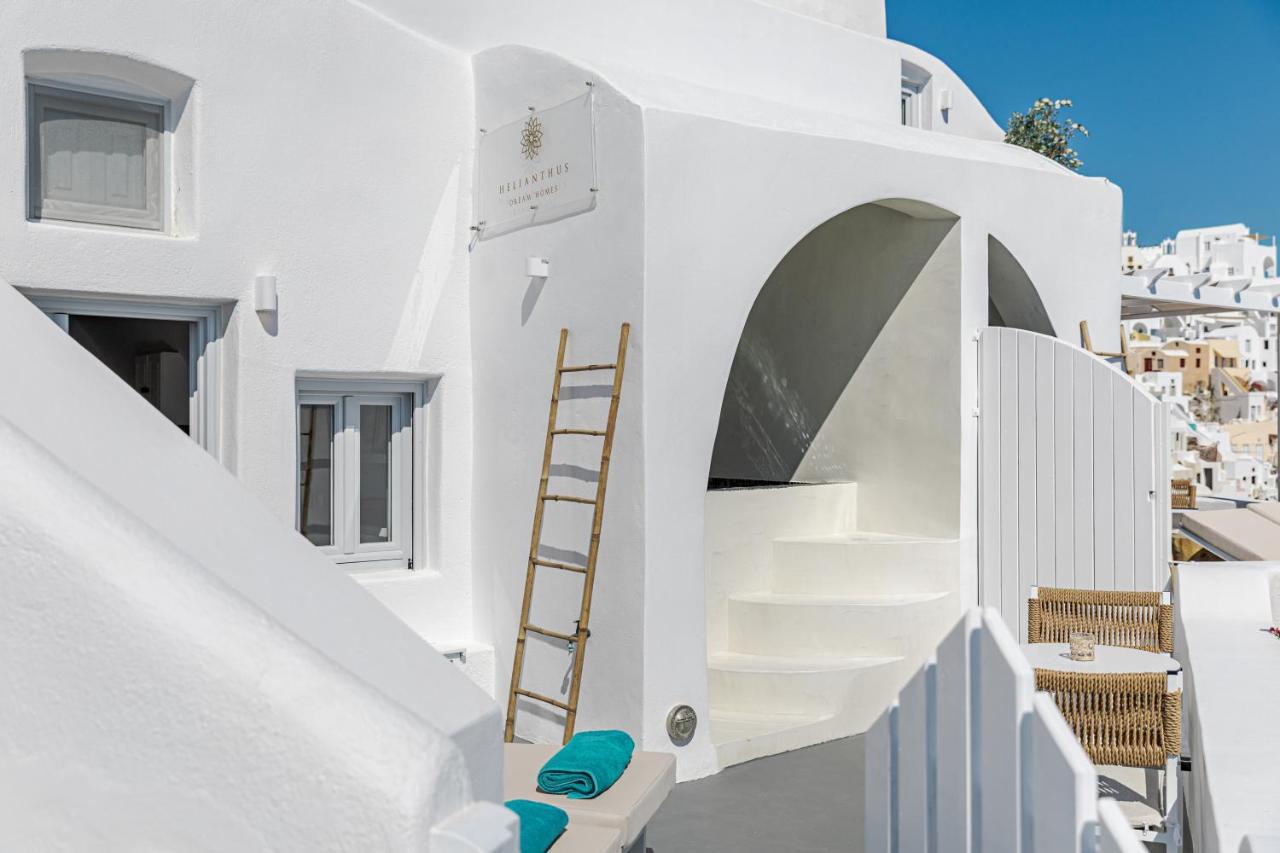 Helianthus Dream Homes