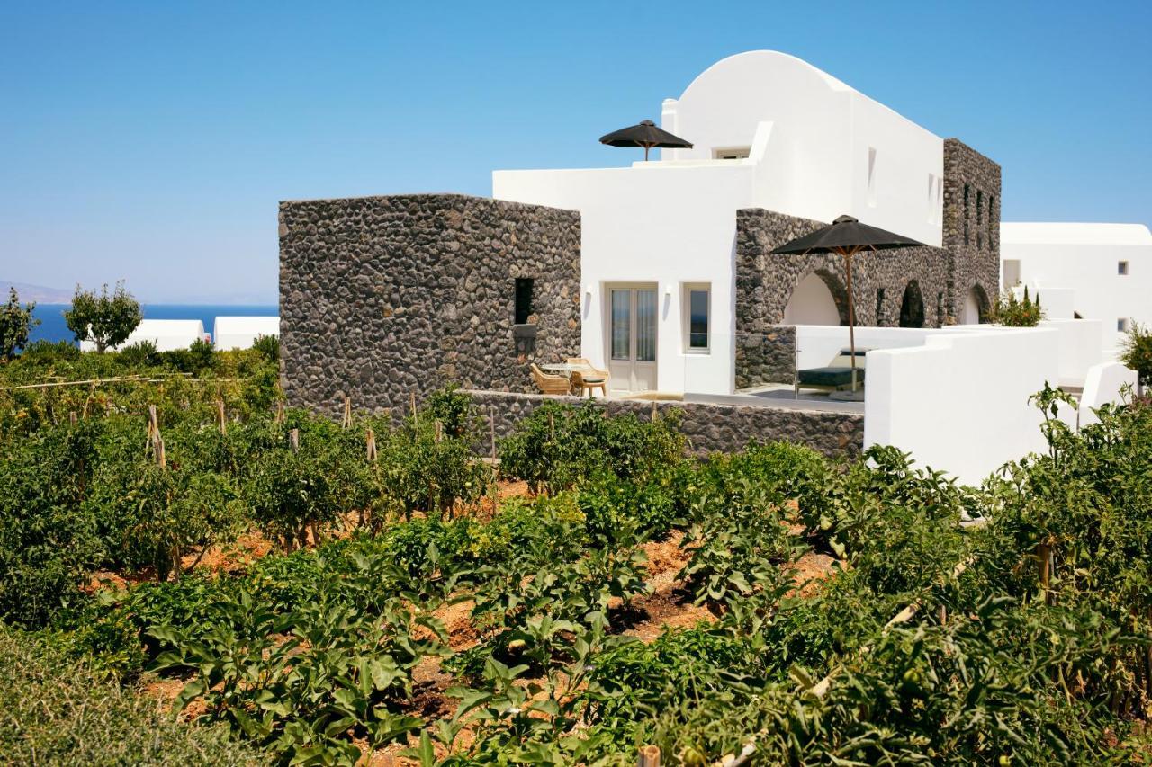 Santo Pure & Oia (Santorini)