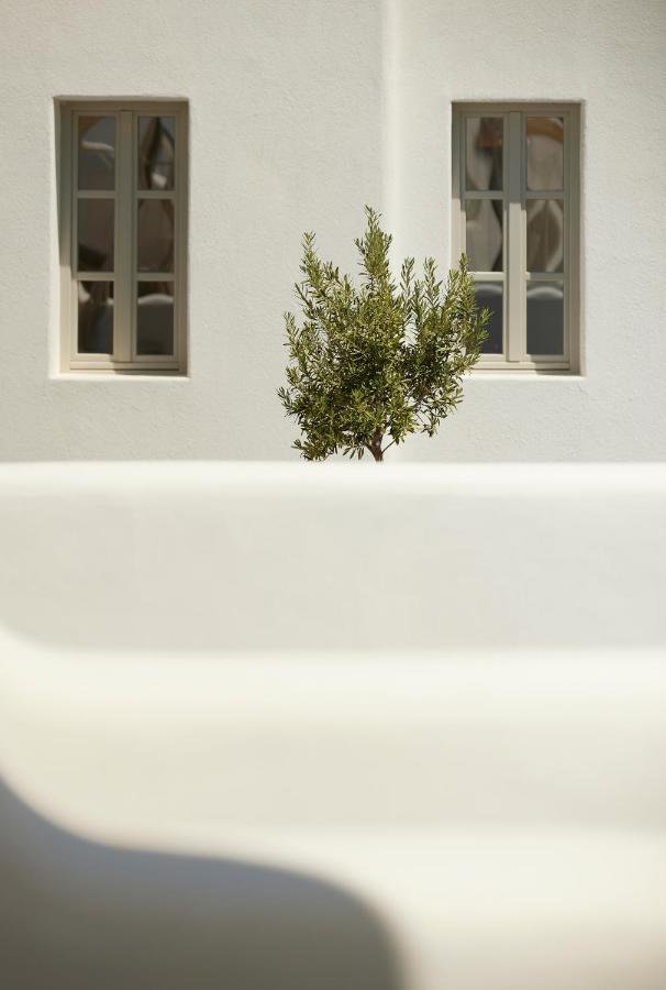Danae Santorini Hotel 4*