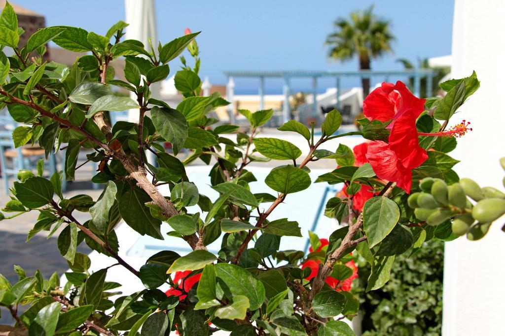 Aparthotel Aethrio 4*