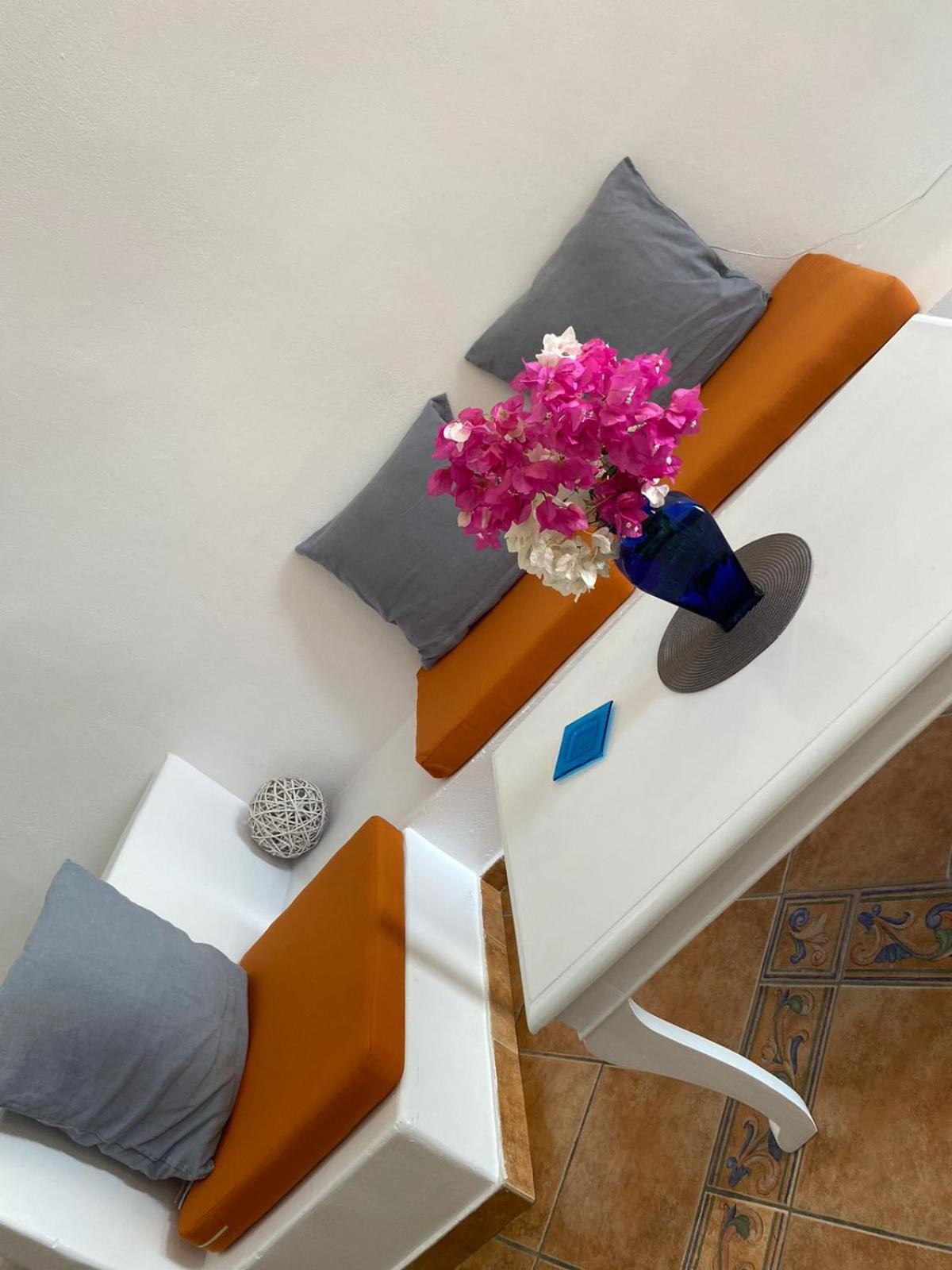 Palm Tree Hill Country house Oia (Santorini)