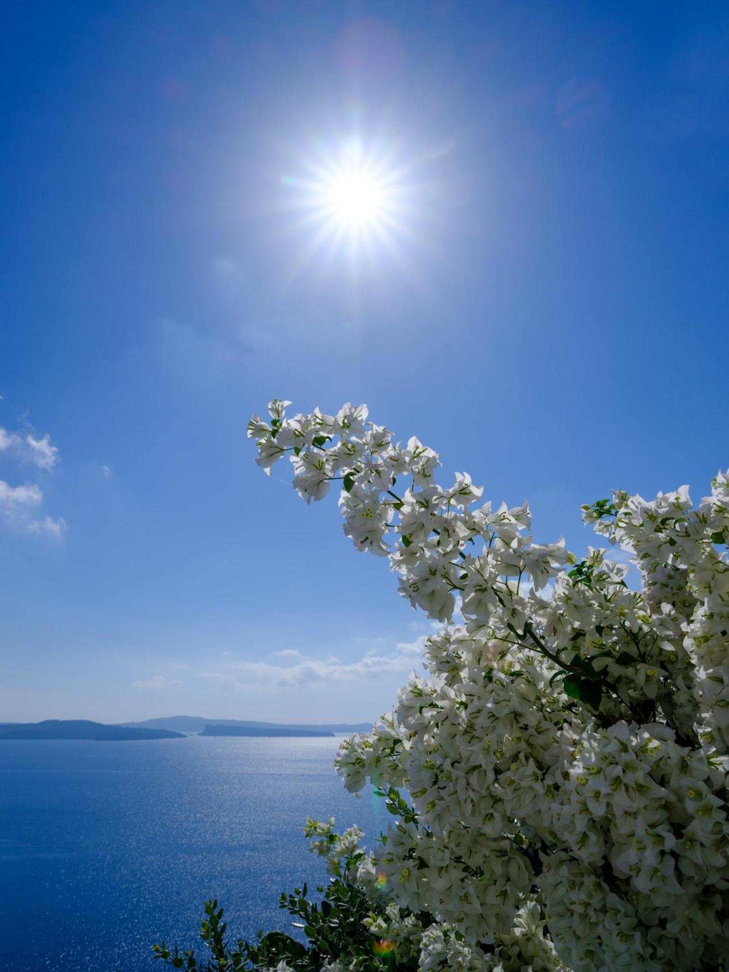 Thirea Apartment Oia (Santorini)