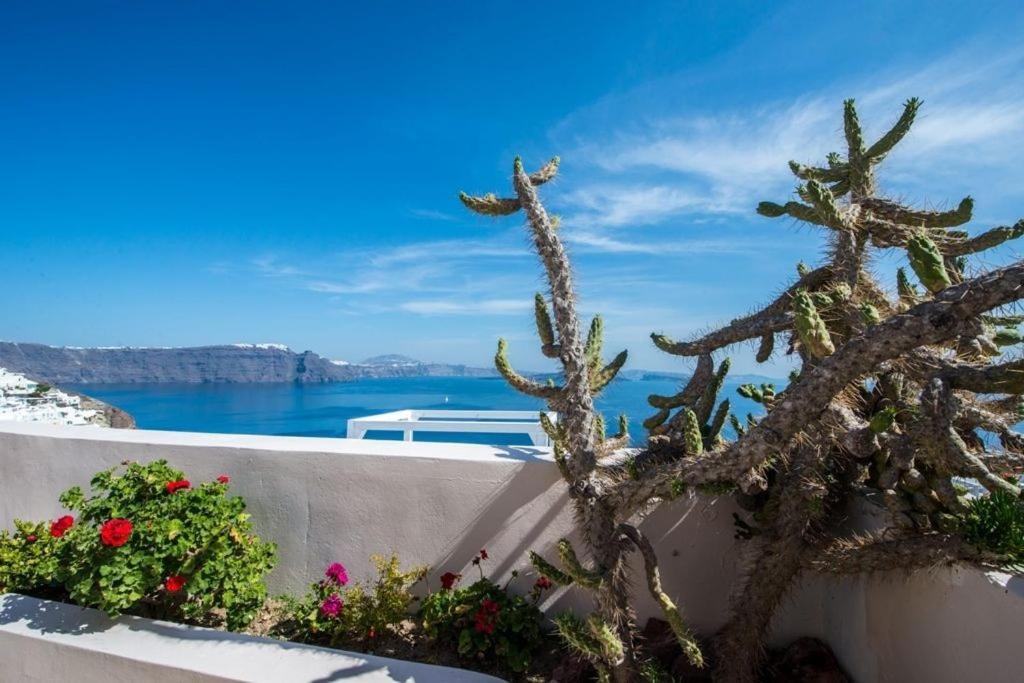 Pbs One Bedroom Villa With Outdoor Hot Tub Oia Villa *
