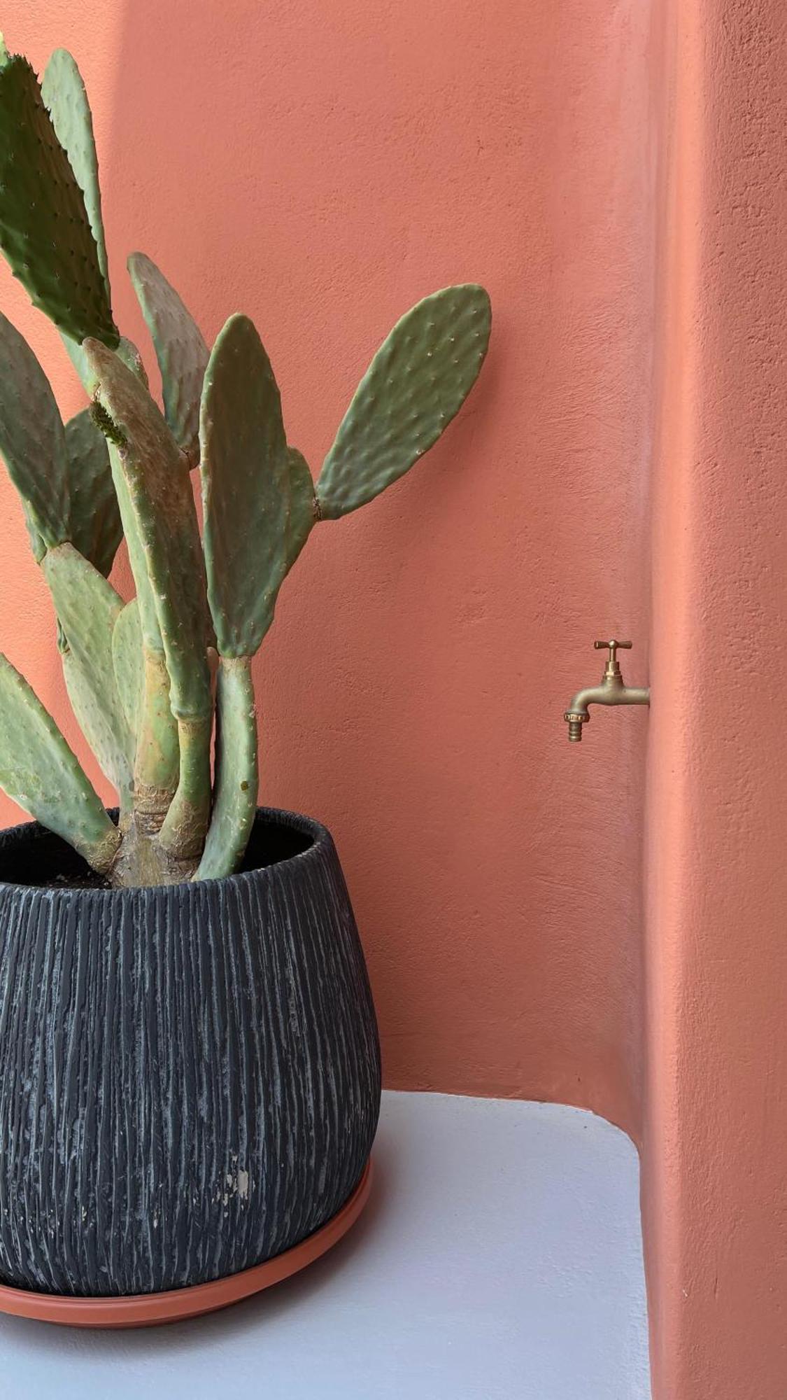 Pink Freud Santorini *