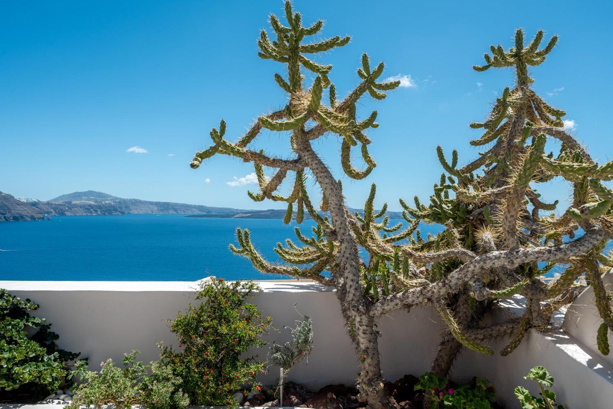 Passion Blue Oia (Santorini)