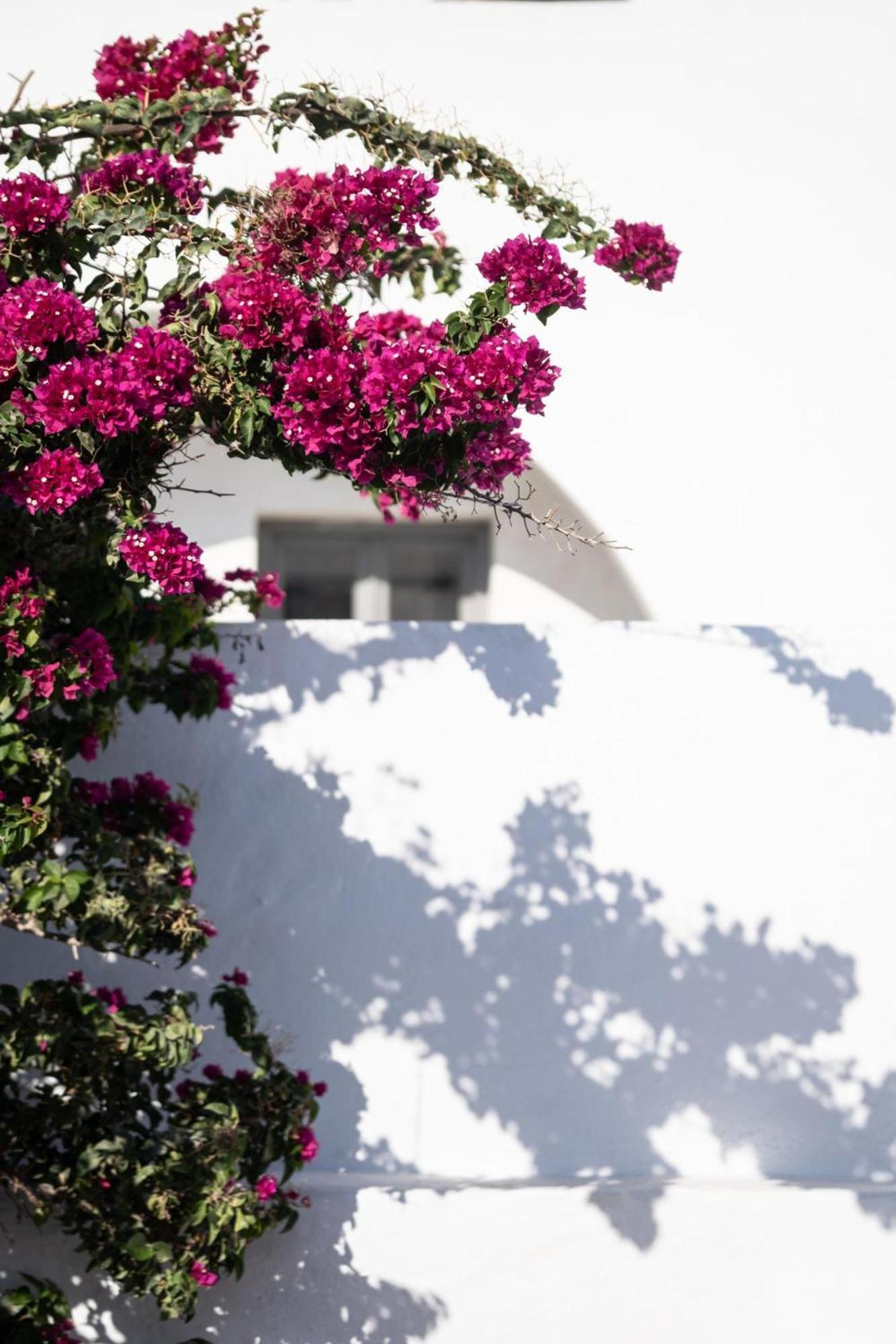 Pousada Rosaviglia Luxury - An Private Hideaway Oía