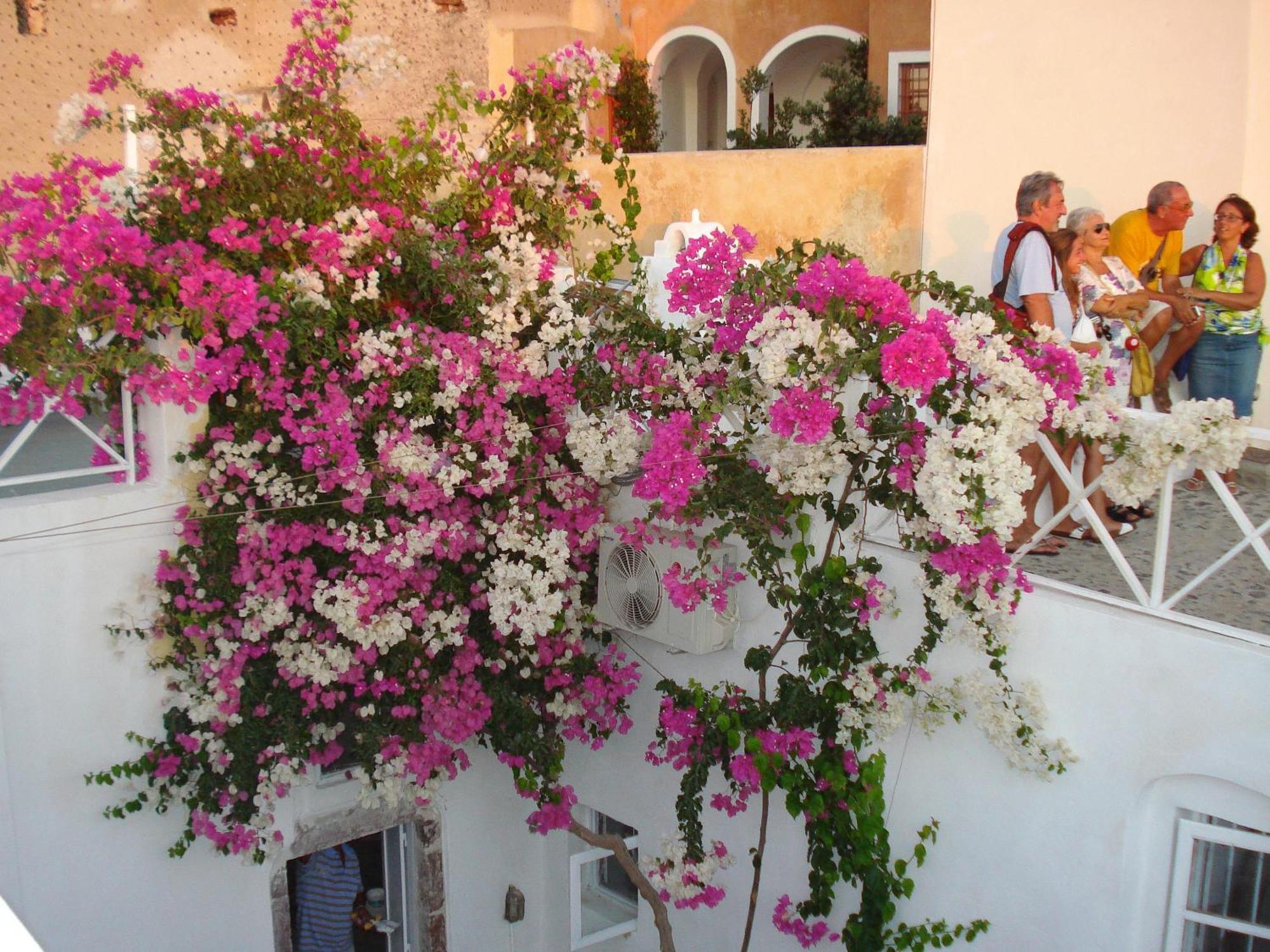 Santorini Paradise Cave Apartment