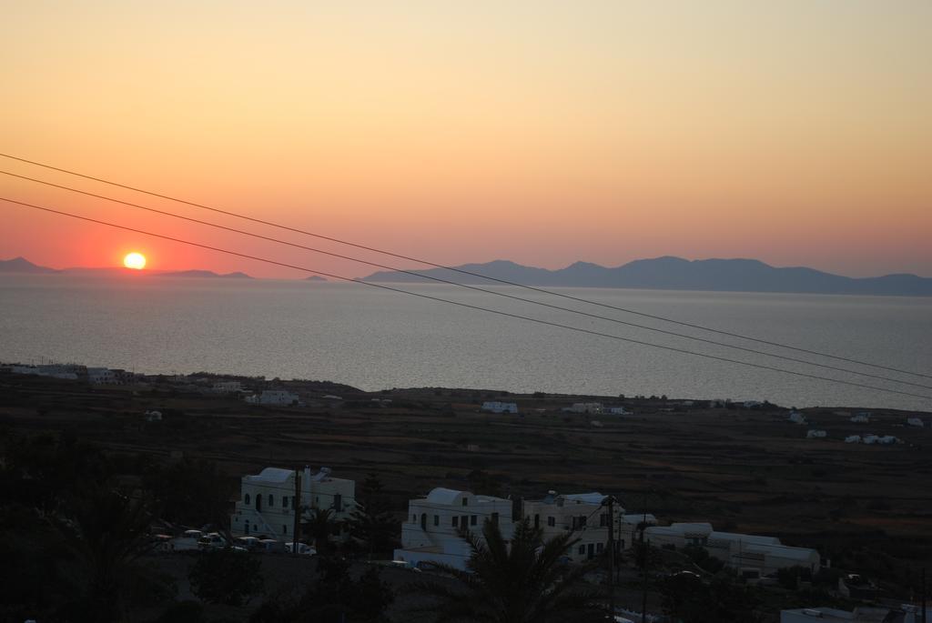 Palm Tree Hill Oia (Santorini)