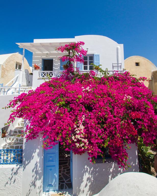 Evilio * Oia (Santorini)