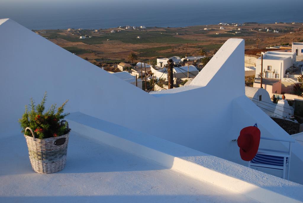 Palm Tree Hill Country house Oia (Santorini)