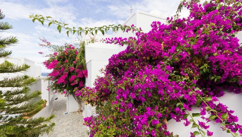 Unique Galini - Adults Only Aparthotel Ia