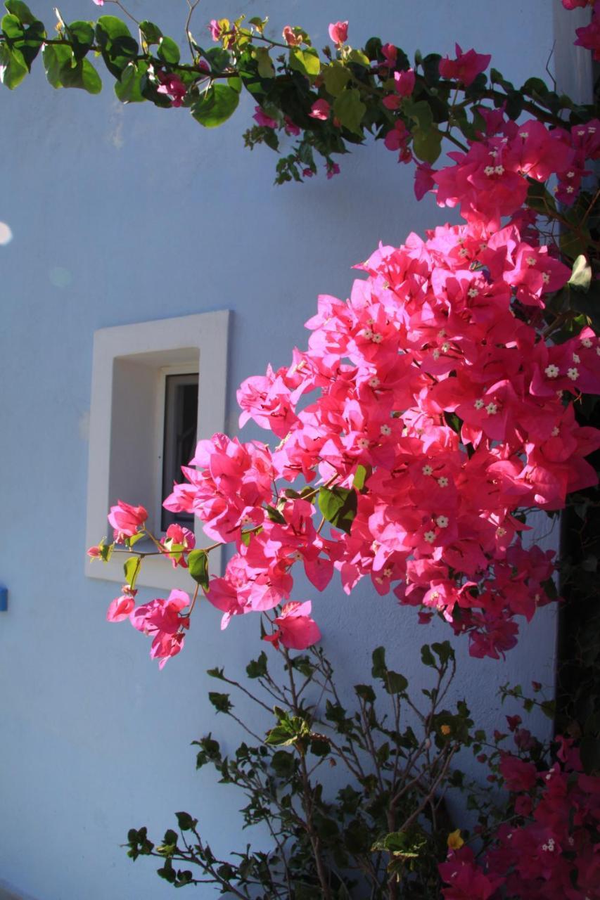 Maria's Place - Adults Only 3*