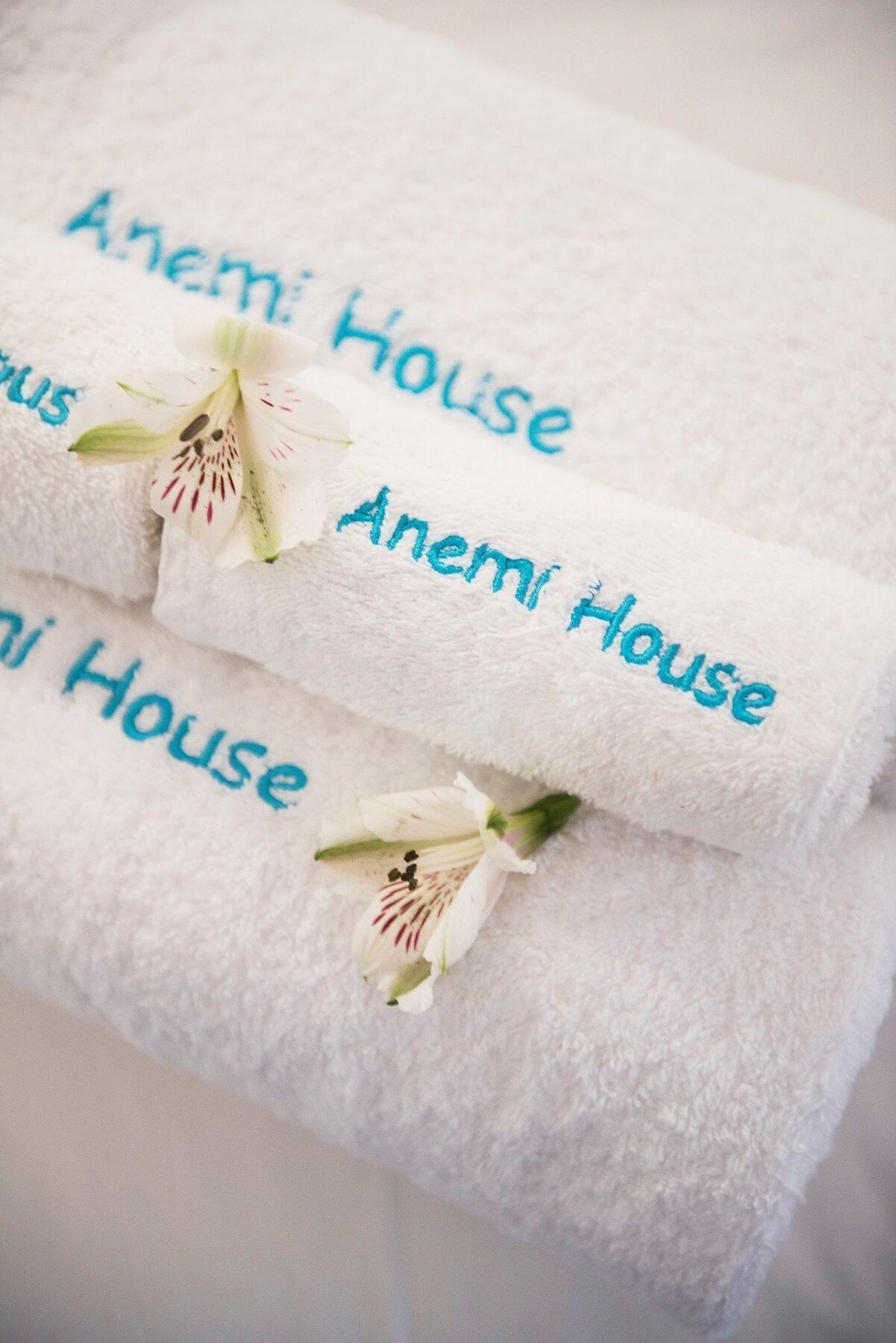 Villa Anemi House &