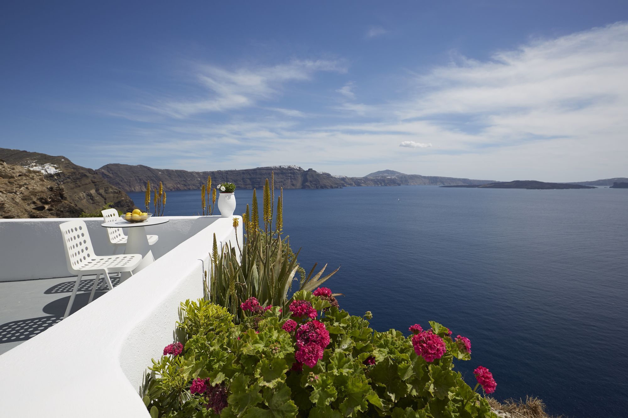Helianthus * Oia (Santorini)
