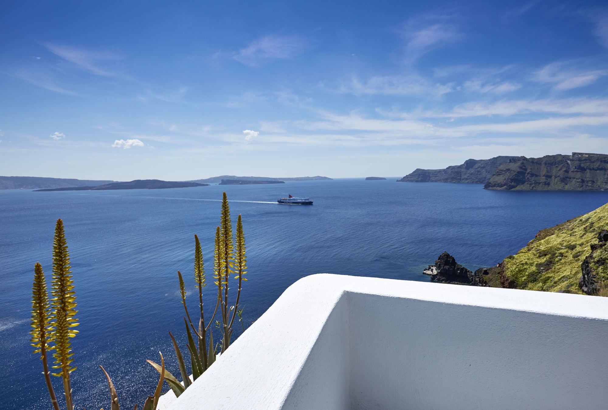 Helianthus Oia (Santorini)