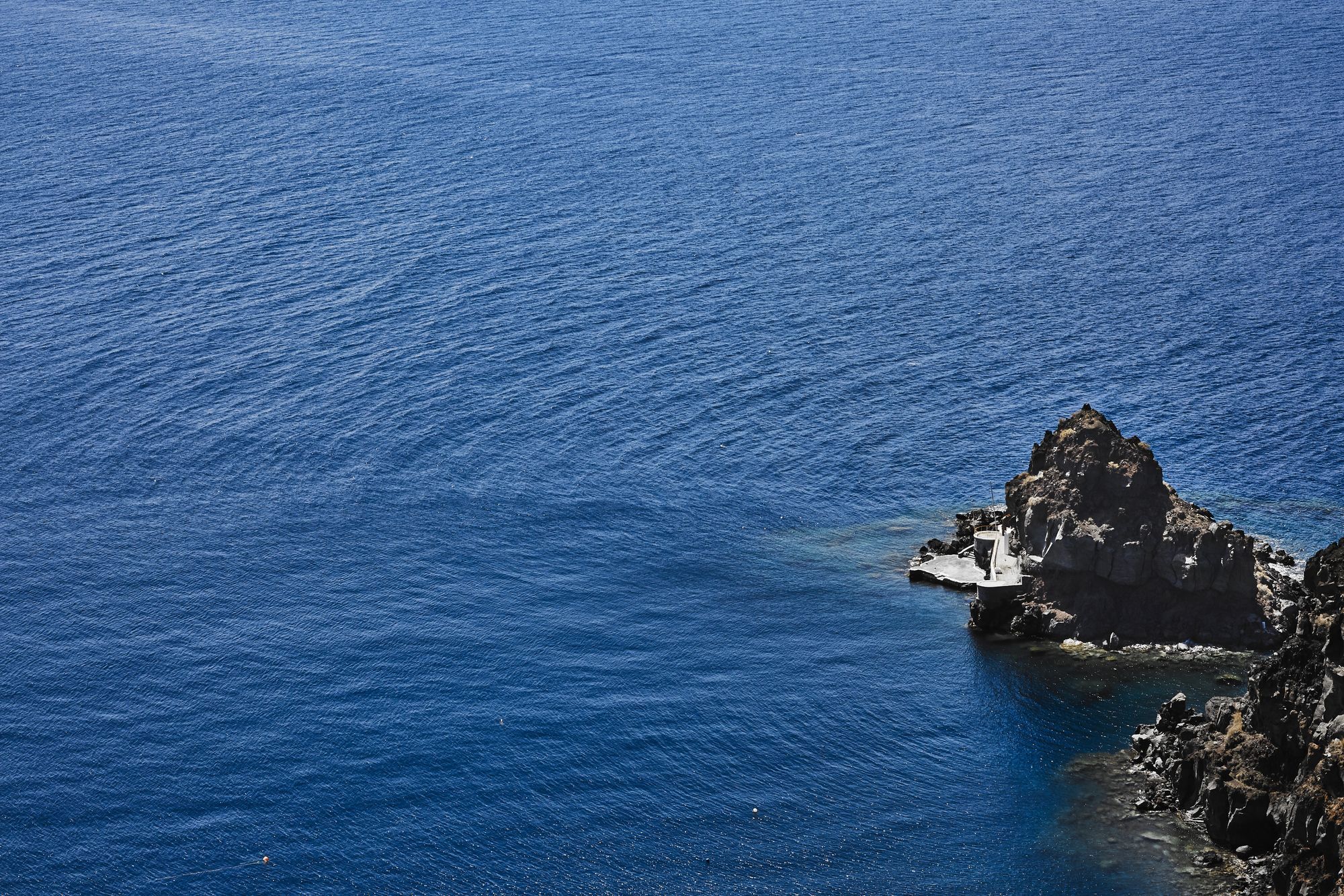 Helianthus * Oia (Santorini)