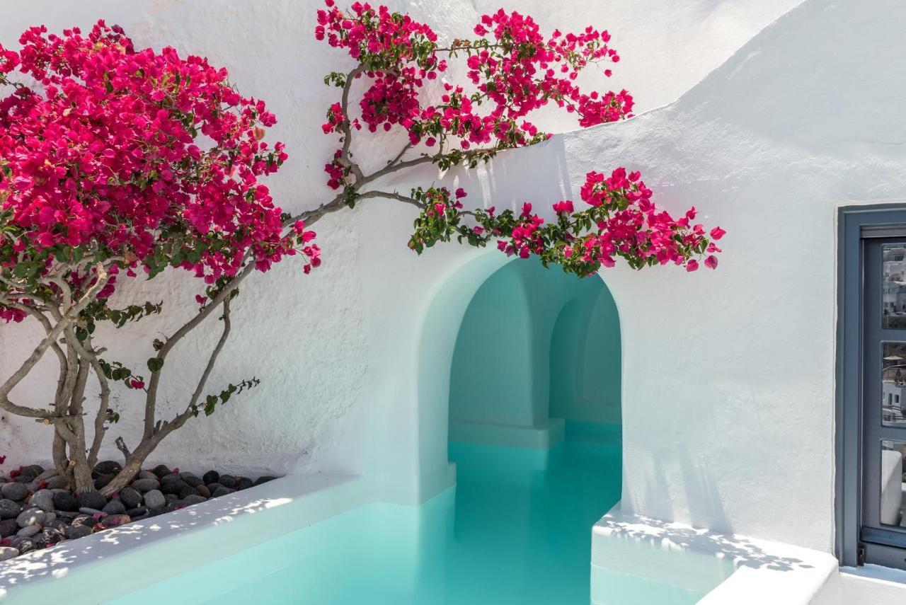 Chelidonia Luxury