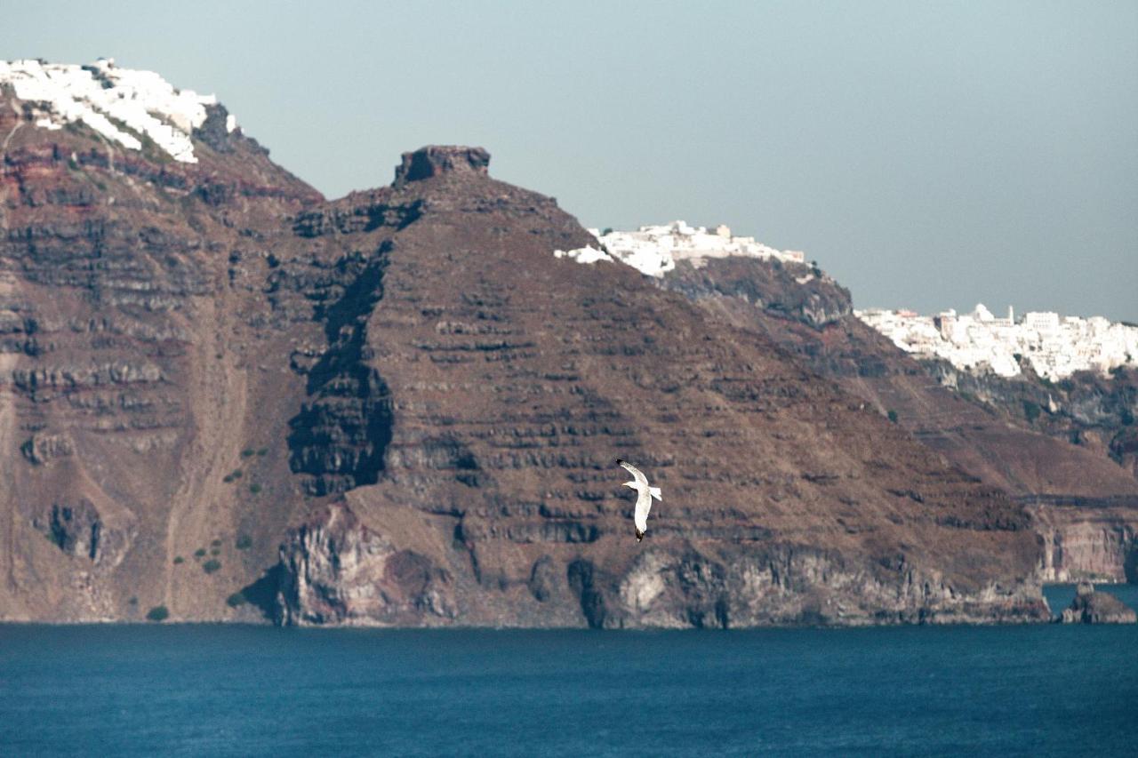 Armenaki