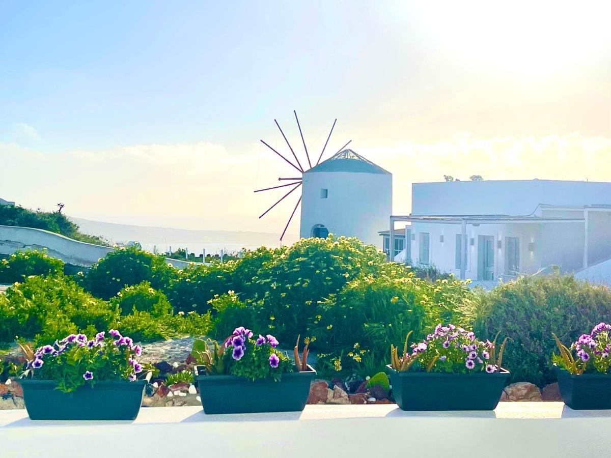 Sunset Queen In Oia (Santorini)