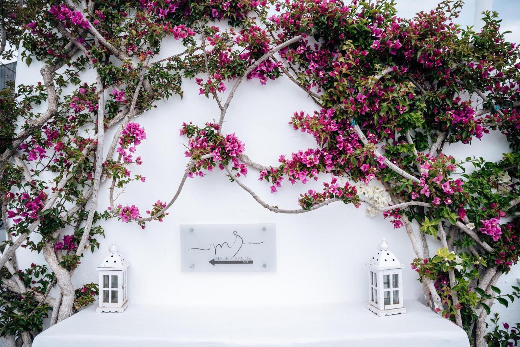 Andronis Luxury 5*