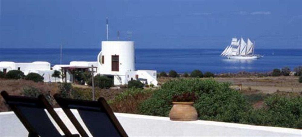 Ecoxenia *
