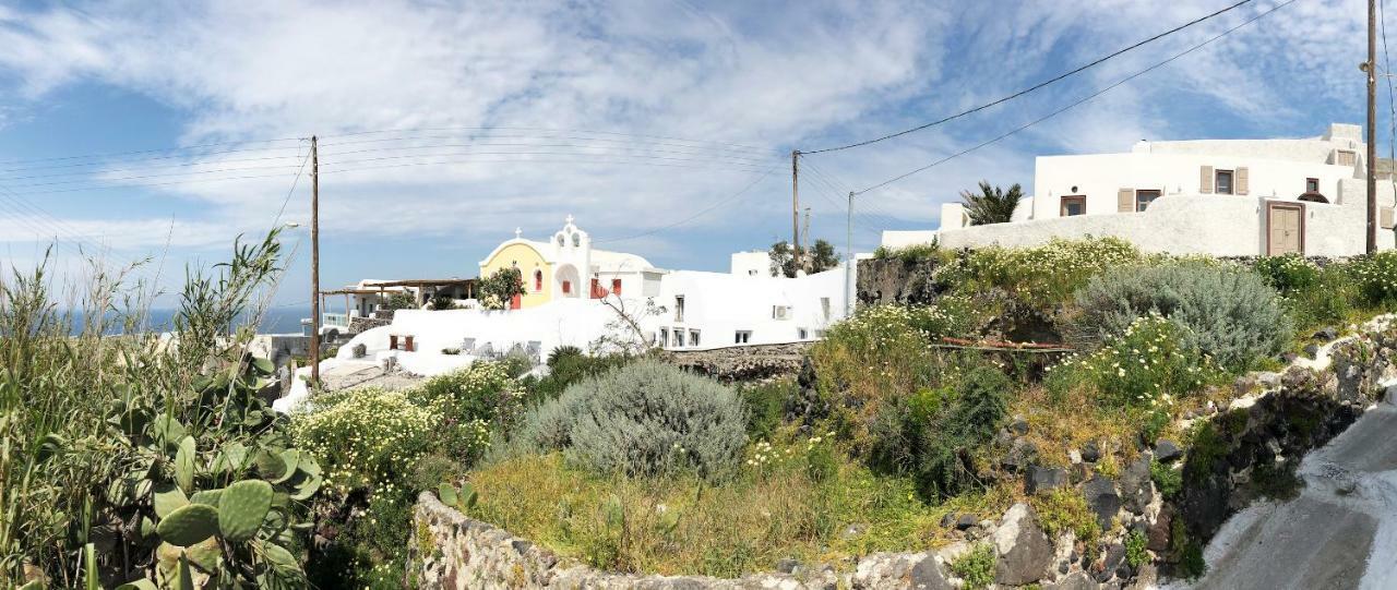 Casa de hóspedes White Grape